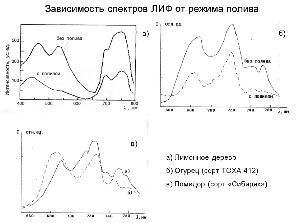 Зависимость спектров ЛИФ от режима полива а) Лимонное дерево б) Огурец (сорт ТСХА 412)